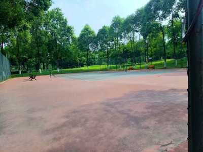 1705481437345535.jpg